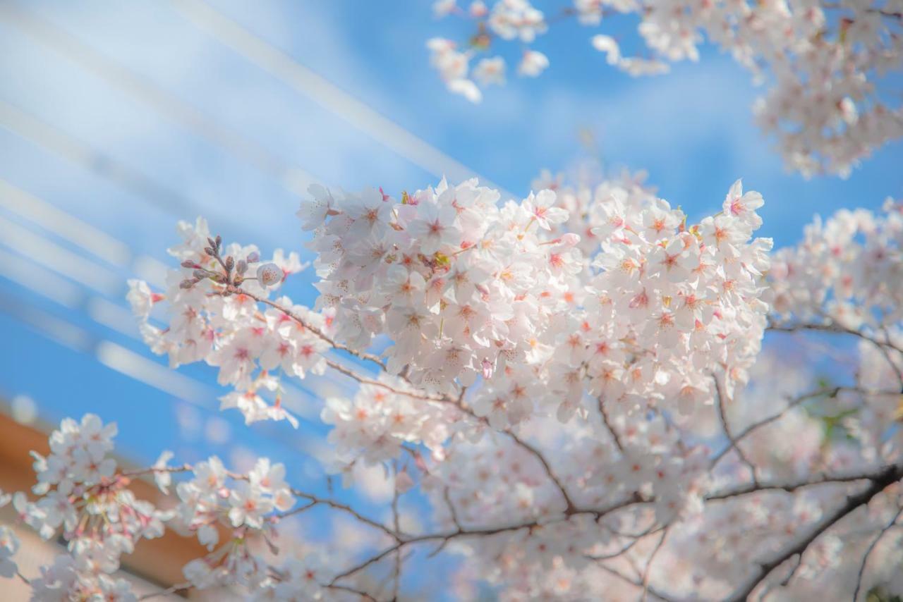 Kyoto Takasegawa Bettei Hotel Eksteriør billede