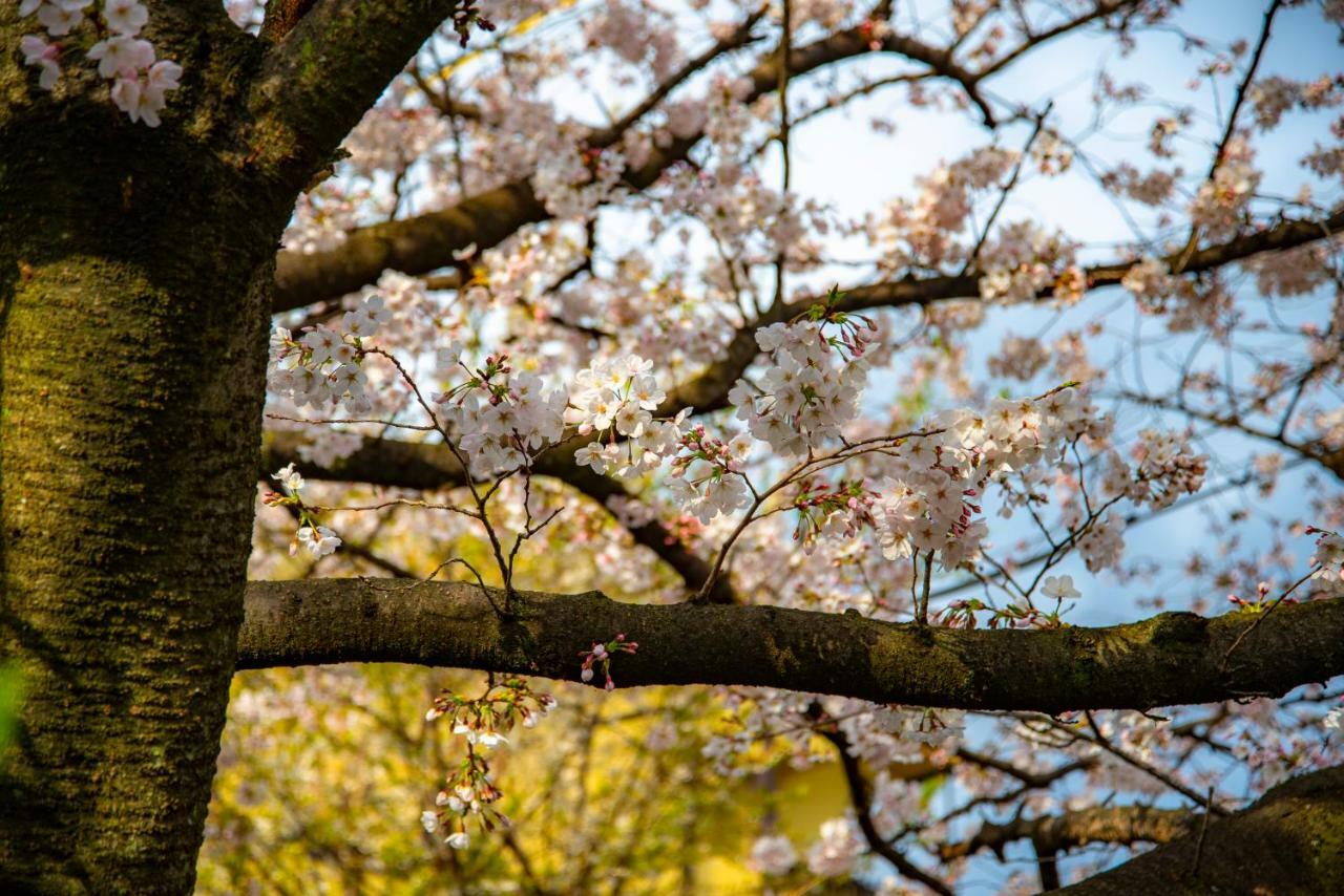 Kyoto Takasegawa Bettei Hotel Eksteriør billede