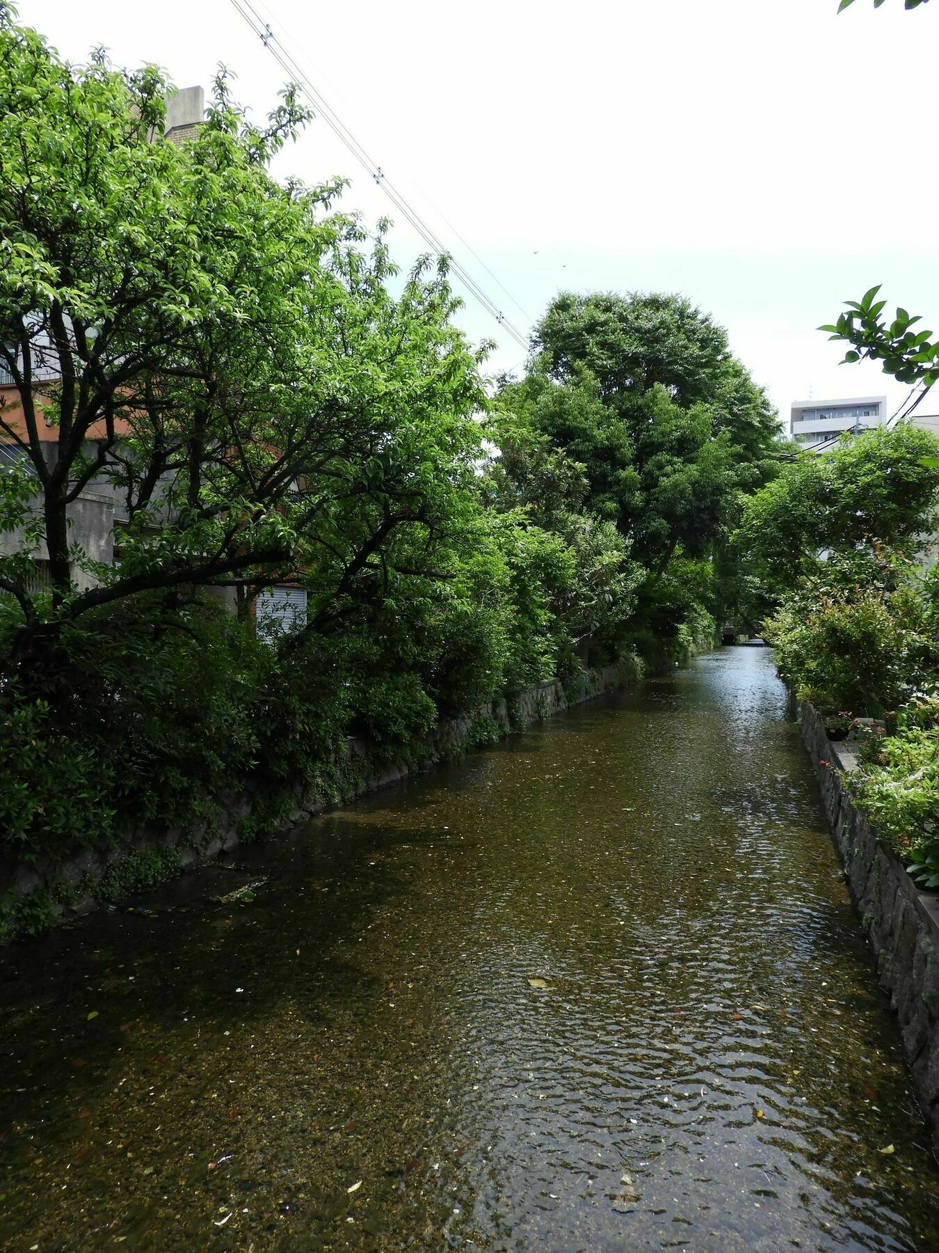 Kyoto Takasegawa Bettei Hotel Eksteriør billede